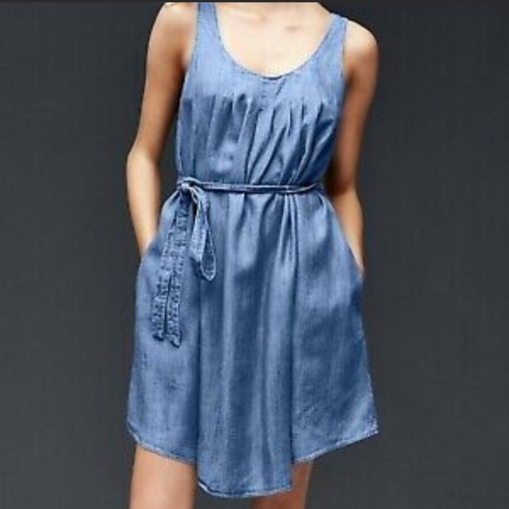 GAP Tencel Swing Dress